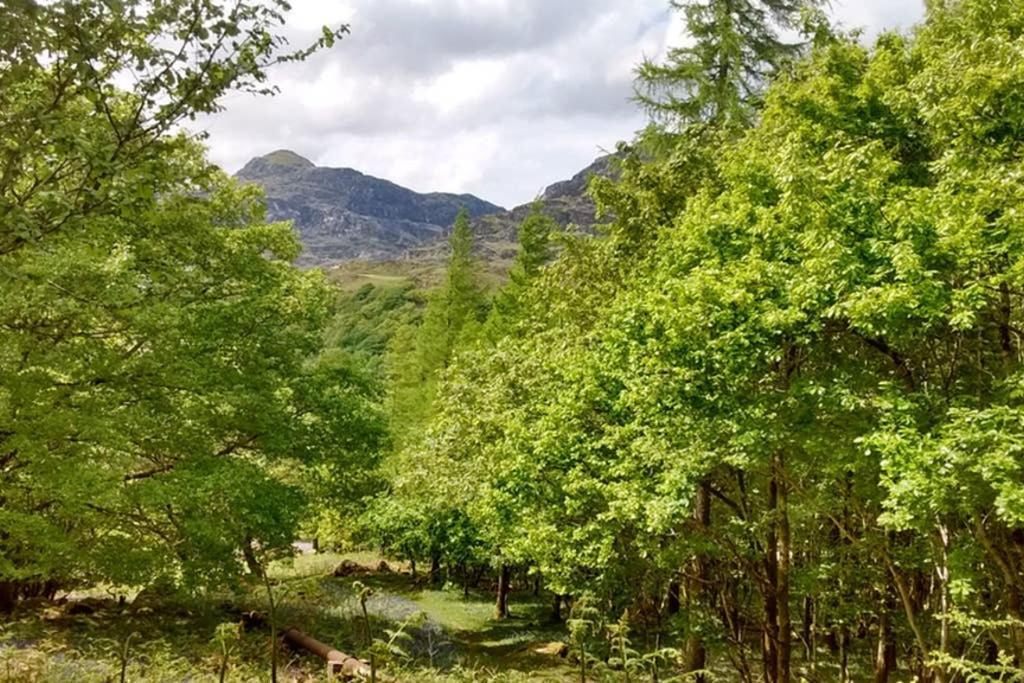 Ty Hen - Quirky Grade II Listed Cottage Blaenau Ffestiniog Ngoại thất bức ảnh